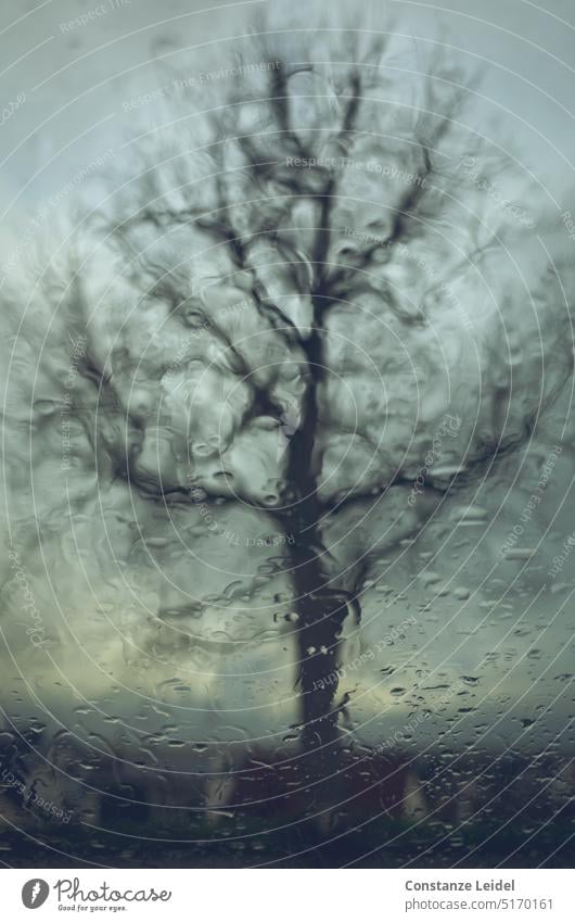 Baum hinter regennasser Scheibe. verschwommen Unschärfe Licht unscharf abstrakt schwarz Shilouette Regen Regentropfen blau