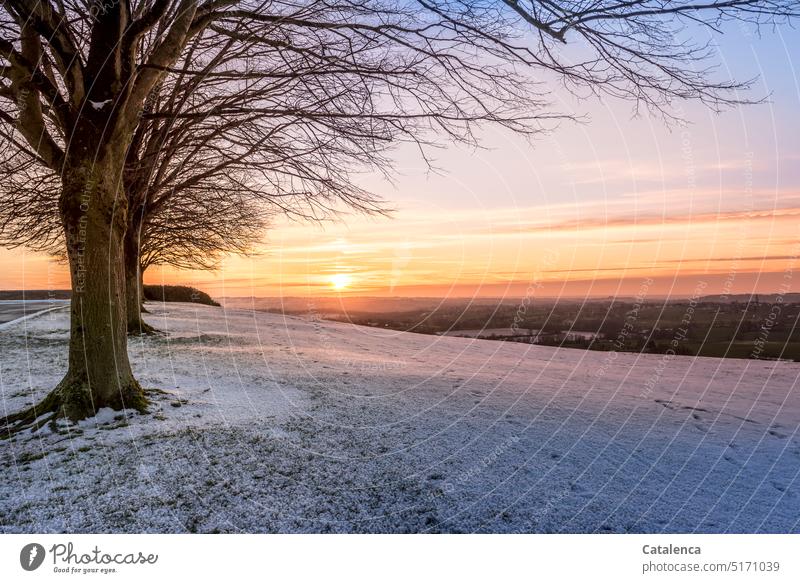 Am Horizont geht die Sonne auf und erhellt die winterliche Landschaft mit sanftem Licht Stille Ruhe Wiese frieren Umwelt Winterstimmung Außenaufnahme Wetter