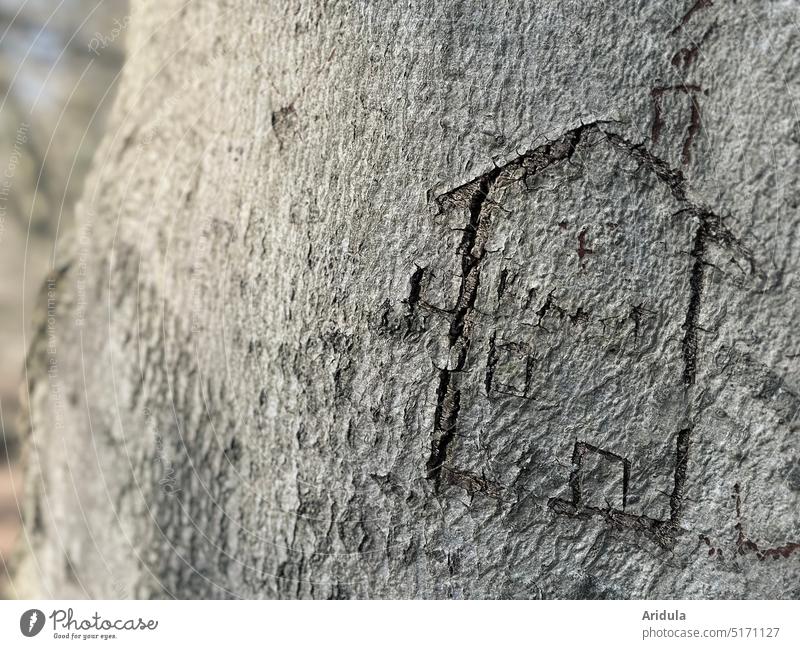 „Baumhaus“ Rinde Stamm Zeichnung geritzt Kinderzeichnung Haus Kerbe Schnitzen Natur Draußen zuhause Wald Spielen Baumstamm Holz Baumrinde Umwelt