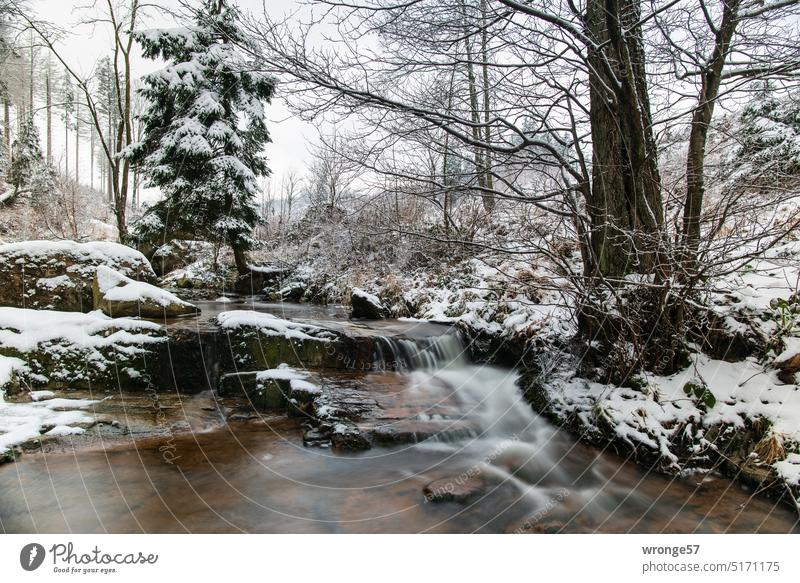 Das obere Ilsetal im Winter 8 fach Flüßchen Harz Langzeitbelichtung ND-Filter Schnee Stativ winterlich Winterliche Landschaft Wintertag Natur Winterstimmung