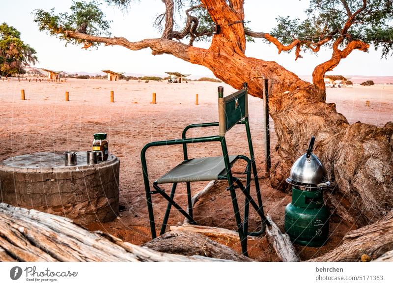 campingplatzromantik Baum Wärme traumhaft besonders Abenteuer Ferien & Urlaub & Reisen Einsamkeit Natur Landschaft Afrika Namibia Ferne reisen Fernweh Farbfoto