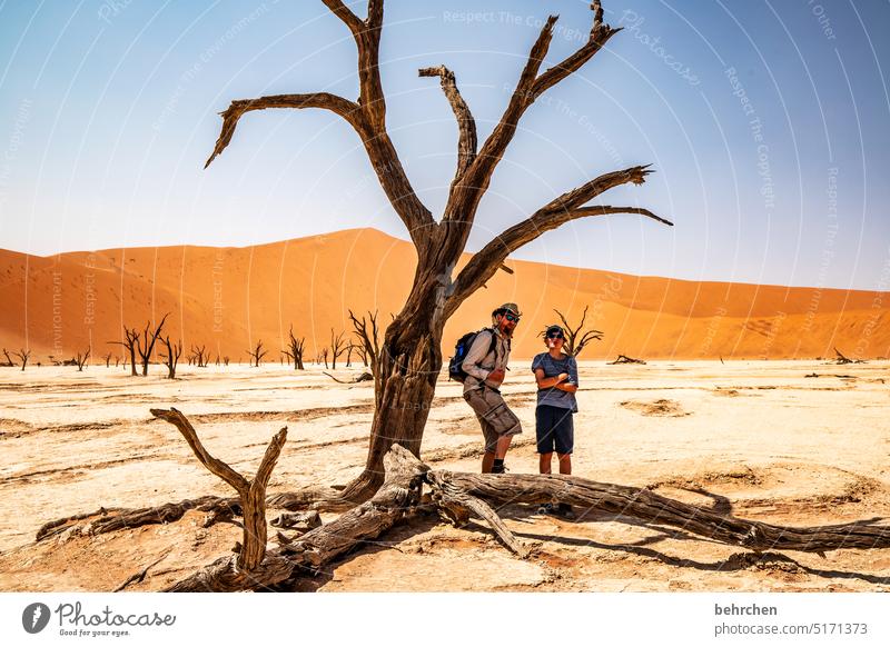 zwei unter einem baum Dead Vlei Fernweh Sehnsucht Namibia Ferne Wüste Afrika Sesriem Sand Außenaufnahme Sossusvlei Farbfoto Einsamkeit Freiheit Natur