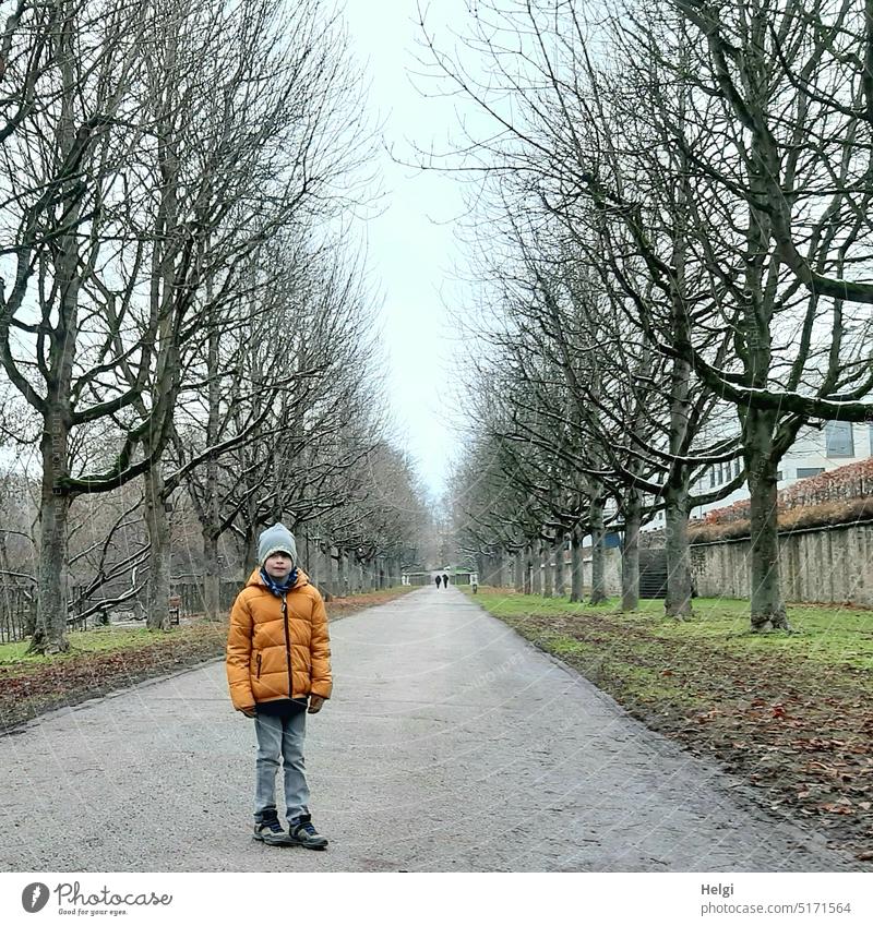 Junge in Winterkleidung steht auf einem Weg in einer Allee mit hohlen kahlen Bäumen Mensch Kind hoch Reihe Jacke Hose Mütze stehen schauen Spaziergang allein