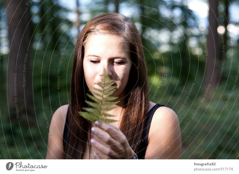 das ende des sommers feminin Junge Frau Jugendliche 1 Mensch Umwelt Natur Pflanze Tier Herbst Efeu Grünpflanze Wald brünett Blick träumen Blatt Waldlichtung