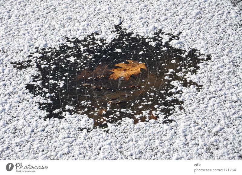 Freier Fleck mit eingefrorenem Herbstblatt auf weiß überzuckerter Eisfläche. | Winterstimmung zugefrorener Weiher Natur See Wasser Teich Menschenleer Landschaft