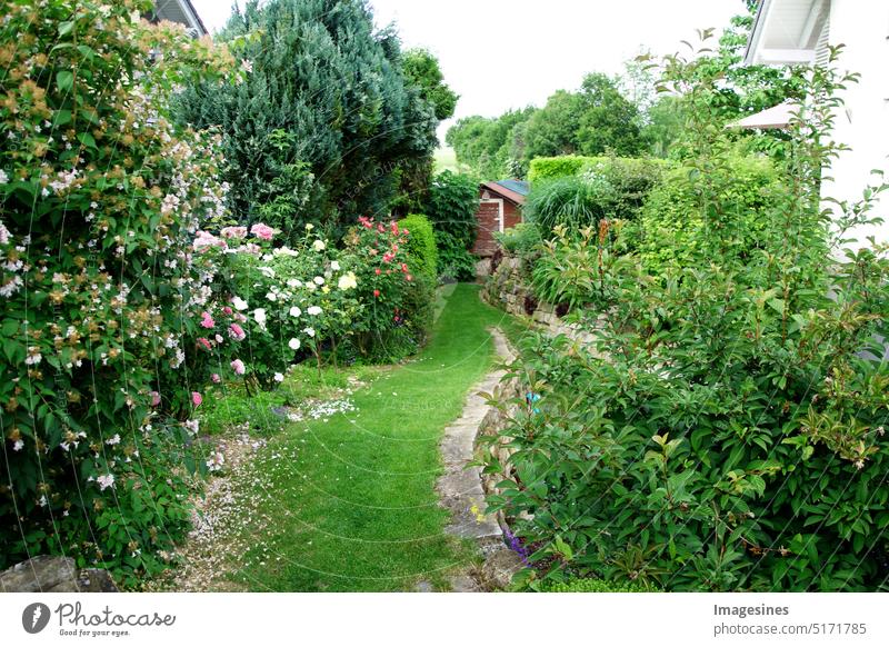 Wohngarten, privater Garten. Landschaftsgestaltung im Hausgarten, schöne Landschaftsgestaltung im Sommer mit Blumenbeeten. Sommer Garten in voller Blüte.