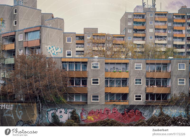 Strukturierte Fassaden von Wohnhäusern mit Graffiti, Balkons, Bäumen in grau und beige Wohnhaus Stadt städtisch wohnen Aussicht Wohnungen Wohnungsmangel Berlin