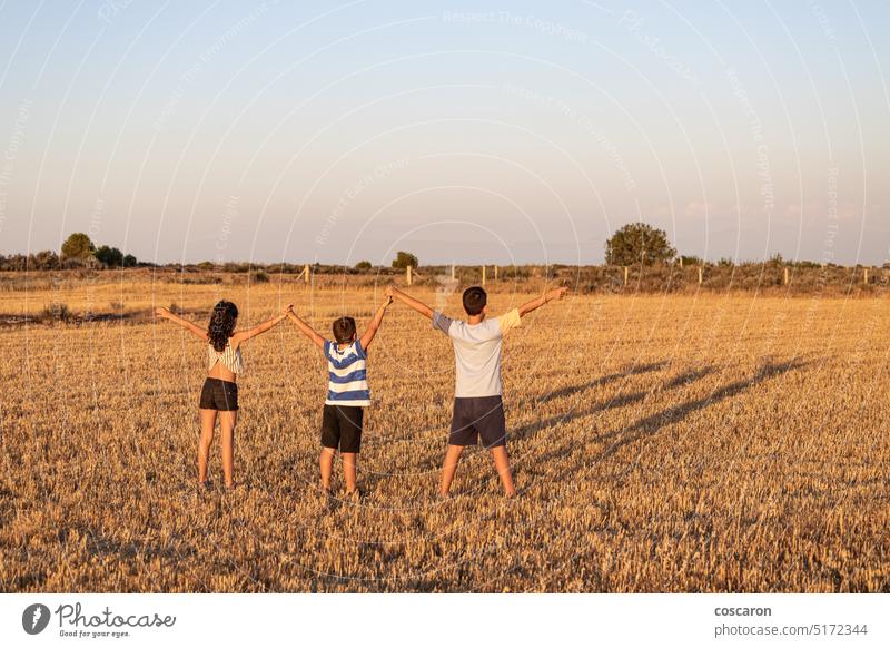 Drei Kinder mit offenen Armen auf einer Wiese bei Sonnenuntergang Air Waffen Hintergrund schön Kindheit Konzept Landschaft Tag trocknen genießen Familie Feld