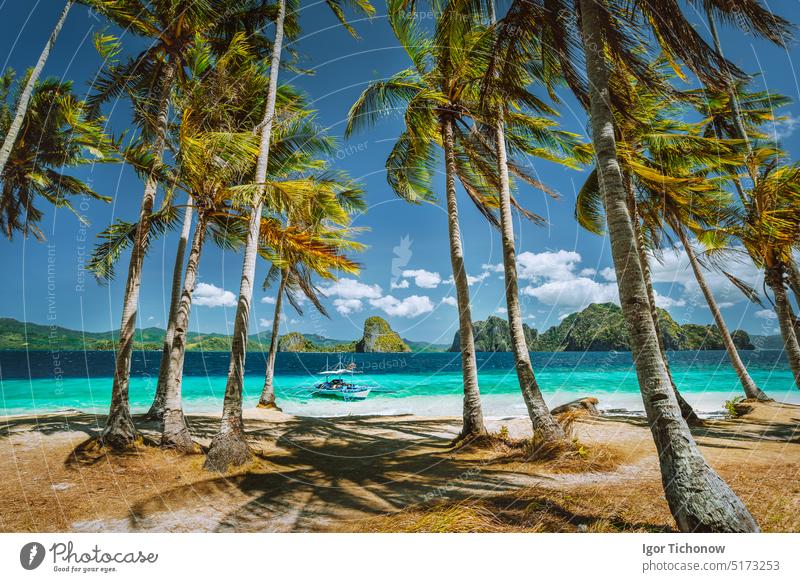 Erkundung der berühmtesten touristischen Orte Palawans. Palmen und einsames Inselhopping-Boot am Ipil-Strand des tropischen Pinagbuyutan, Philippinen Natur