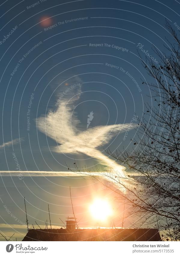 Wie eine Friedenstaube geformt schwebt die Wolke am Morgenhimmel Symbole & Metaphern Hoffnung Freiheit Krieg Zeichen Himmelszeichen Friedenswunsch Wolkenbild