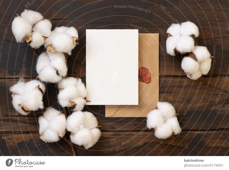 Blanko-Karte und Umschlag mit Baumwolle Blumen Draufsicht auf dunkelbraunem Holz, Hochzeit Mockup Postkarte Attrappe beige Kuvert vertikal weiß Baumwollblüte