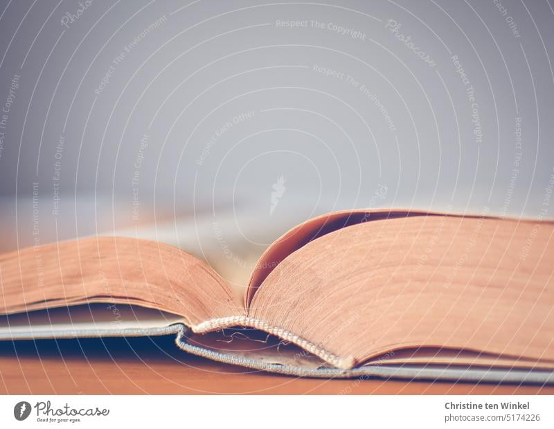 Ein aufgeschlagenes Buch liegt auf dem Tisch lesen Lesefutter Wissen Bildung Literatur Lesestoff Schule Bibliothek Studium Information Weisheit Wissenschaften