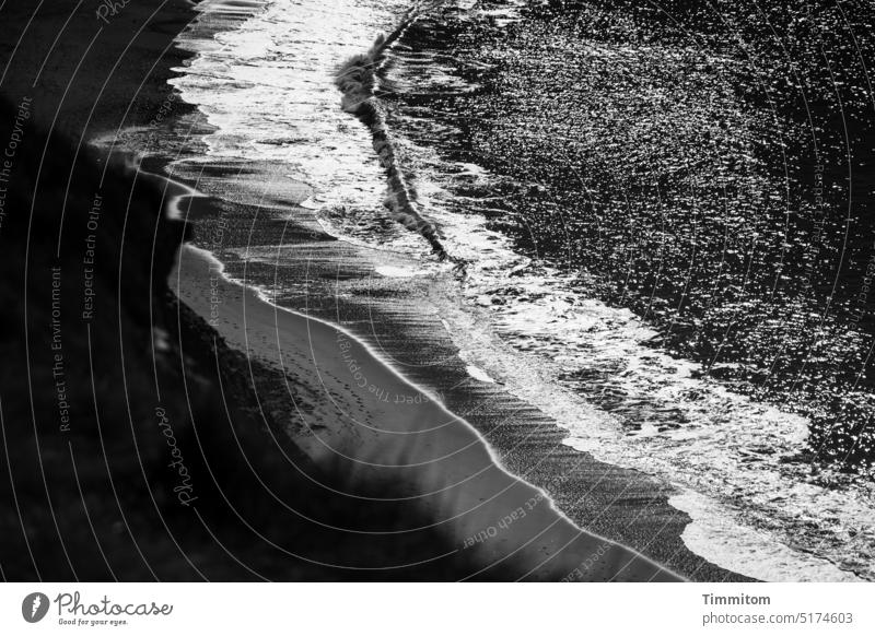 Blick von der Abbruchkante hinab auf Nordsee, Wellen, Gischt und Sand Düne Strand Sandspuren Dänemark hell und dunkel Schwarzweißfoto