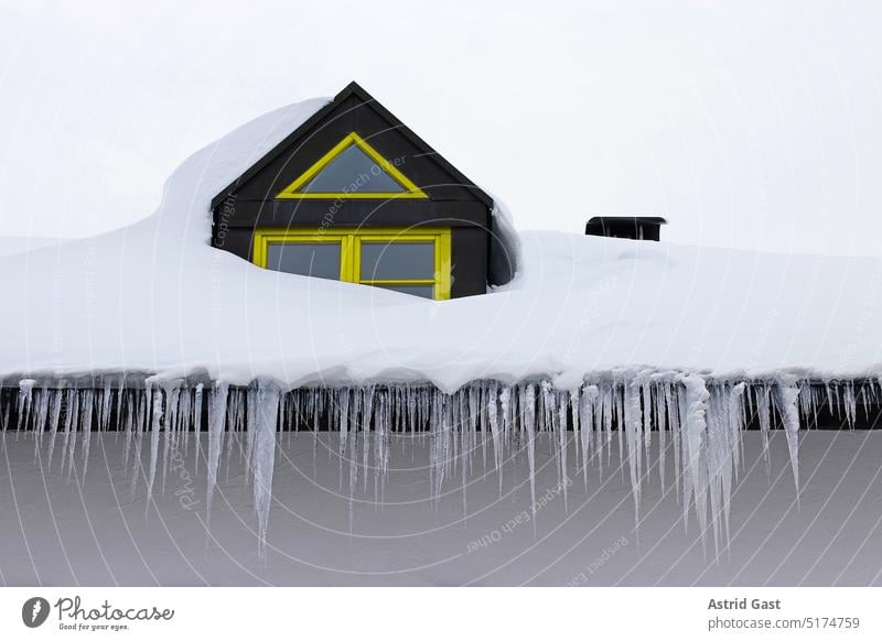 Große gefährliche Eiszapfen an einem Dachfenster auf einem Hausdach im Winter haus hausdach eiszapfen gefahr winter schnee tauwetter tauen isolation