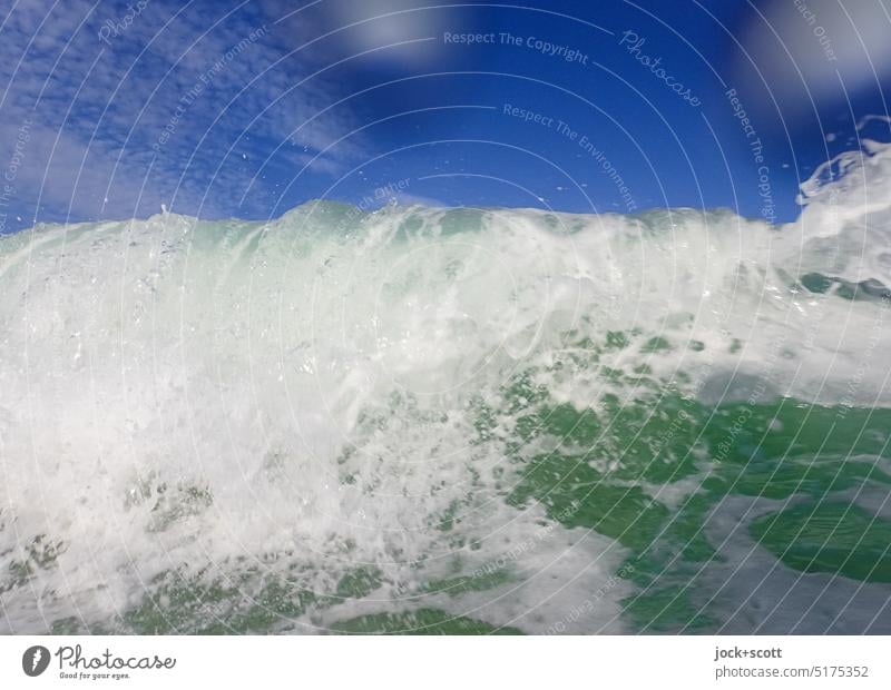 steil laufende Wasserwelle Wellen Pazifik Natur Gischt Meer Bewegung Strukturen & Formen Urelemente Hintergrundbild Blauer Himmel Wellenschlag