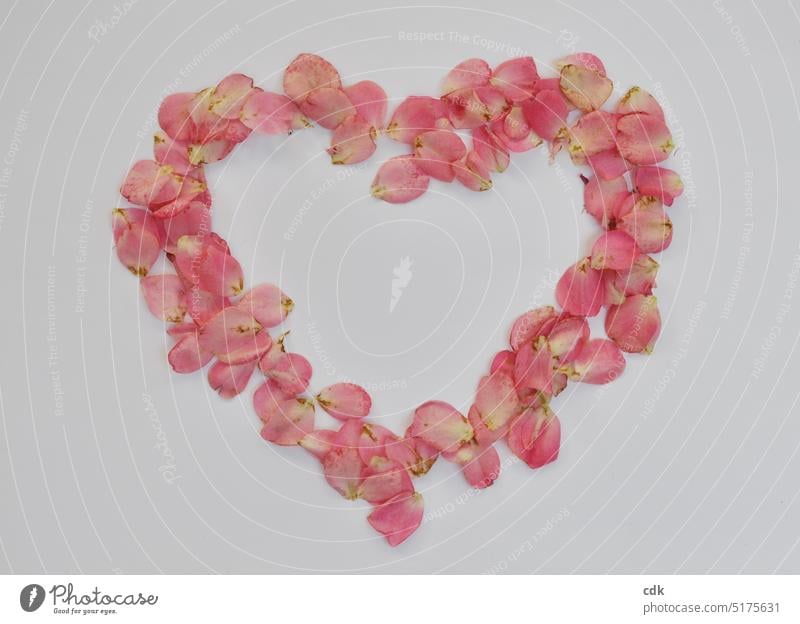 Herz aus Rosenblütenblättern | Herzenssache. Herzform Form Rosenblätter rosa Freisteller weisser Hintergrund natürlich echt gestreut in Form eines Herzens