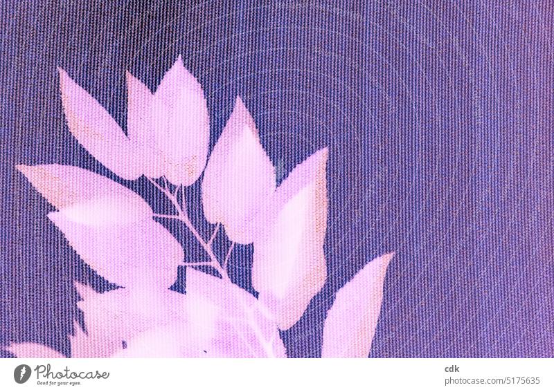 Blattwerk | in Farbe getaucht. Blätter Zweig Ast mit Blättern Kirschblätter Sonnensegel Formen und Strukturen Blattform Farben farbig bunt rosa violett lila