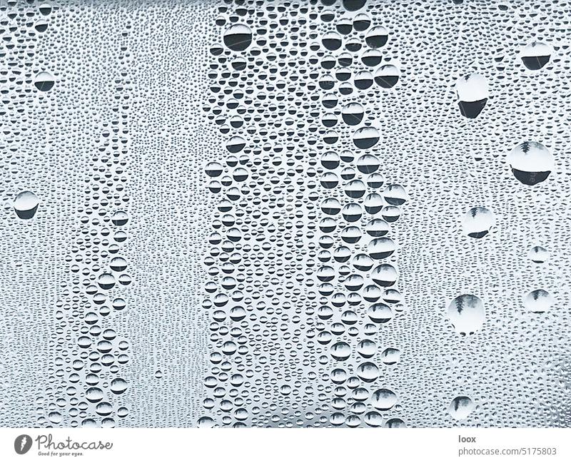 4eyes | Wasserperlen tropfen glasscheibe spiegelung reflexion nass feucht muster struktur detail glänzend Regen abstrakt Physik Natur Linien Kreis Kondenswasser