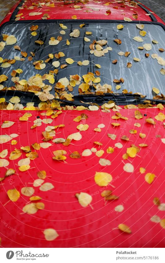 #A0# Herbstlaub herbst Herbstfarben herbstlich Herbststimmung herbstlandschaft Herbstblatt Herbstfaerbung Herbstblätter herbstfarbe Auto fehlen verrotten