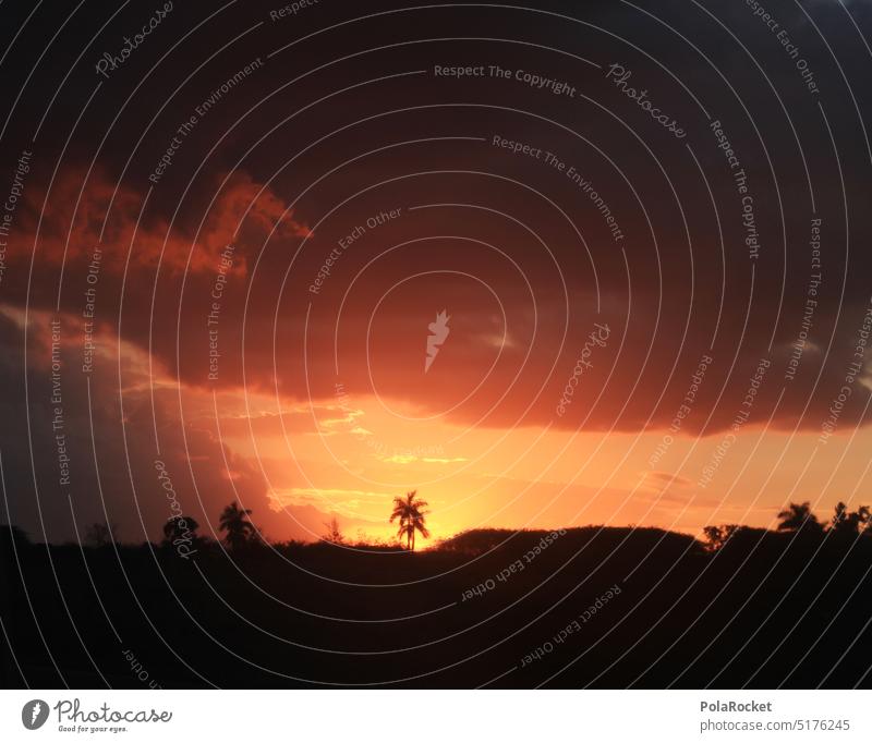 #A0# Kuba Dreamy Sonnenuntergang reisen Reisefotografie Reisender reisend Reiseziel Reiseziele Ferien & Urlaub & Reisen Natur Landschaft Ausflugsziel