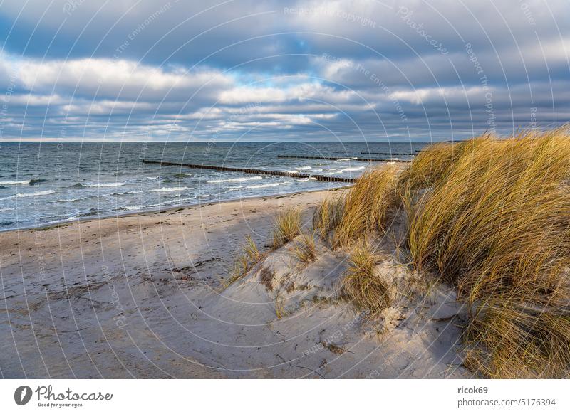 Düne und Buhnen am Strand der Ostsee auf dem Fischland-Darß Küste Ostseeküste Meer Ahrenshoop Wellen Landschaft Natur Wasser Himmel Wolken blau