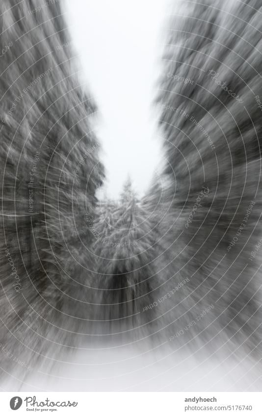 Ein Weg durch den winterlichen Nadelwald in Bewegungsunschärfe abstrakt Unfall schlecht schön Schönheit Schneesturm Unschärfe verschwommen bw Klima kalt bedeckt