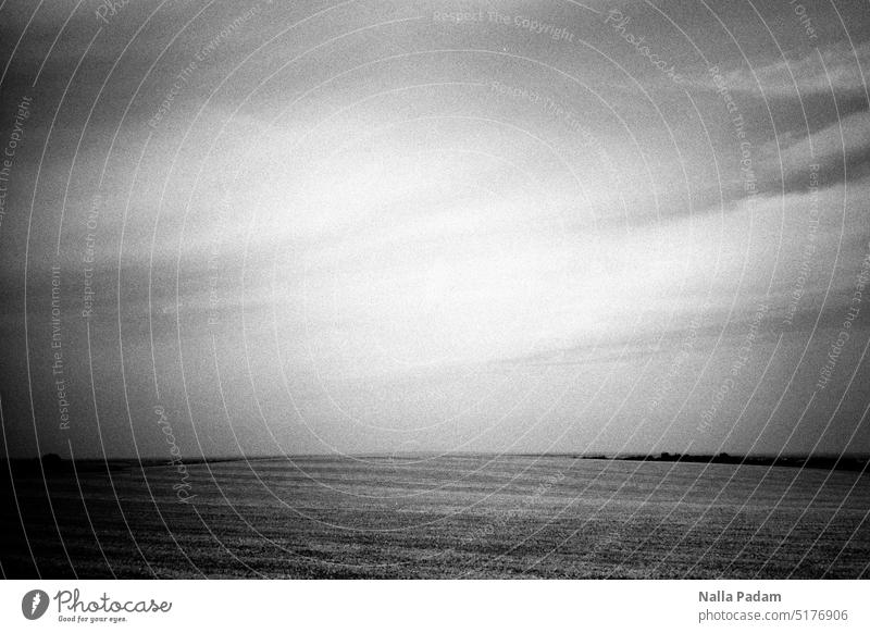 Himmel und Feld analog Analogfoto schwarzweiß Schwarzweißfoto Landschaft Weite Blick Wolke Olympus XA2