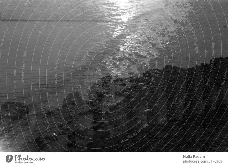 Morgendliche Welle und Wellenbrecher analog Analogfoto schwarzweiß Schwarzweißfoto Meer Wasser Reflexion Licht Holz Buhne Doppelbelichtung Diagonale Linie sw