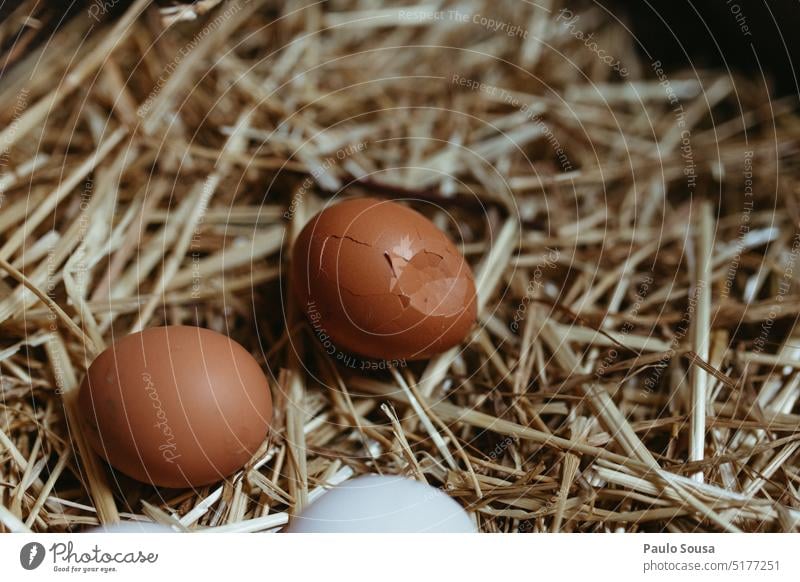 Zerbrochenes Ei gebrochen zerbrochenes Ei Eierschale Frische Ernährung Eigelb Lebensmittel Farbfoto Nahaufnahme Protein Haushuhn Osterei Hähnchen Natur