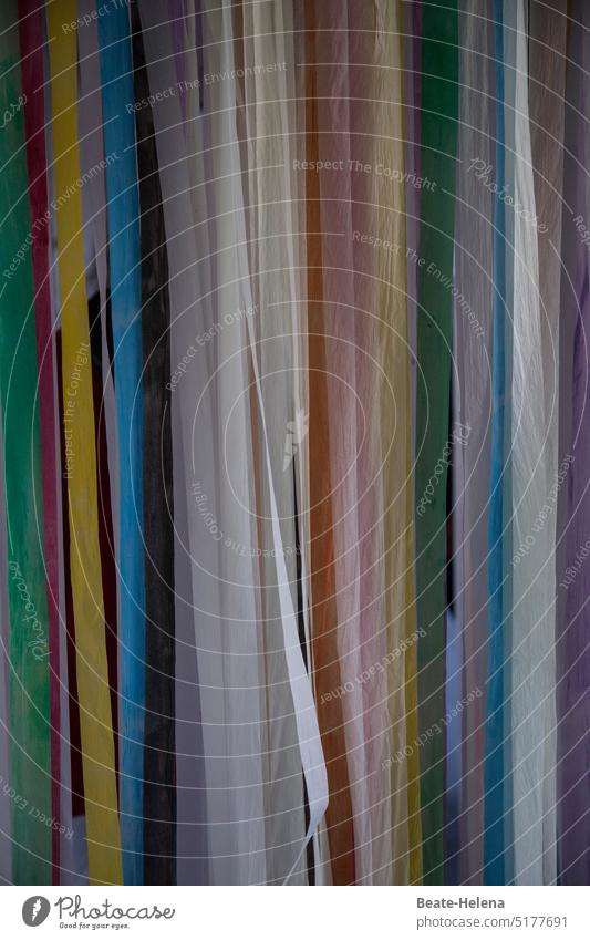 Spanischer Vorhang aus bunten Plastikbändern 1 Tür Abgrenzung Gardine Dekoration & Verzierung Innenaufnahme Strukturen & Formen geheimnisvoll Privatsphäre