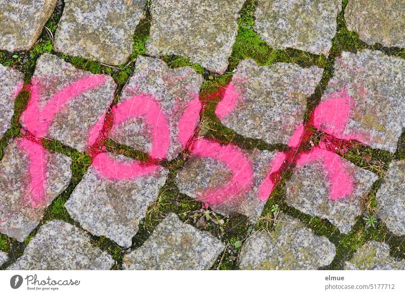 rosa steht in pink auf Pflastersteinen geschrieben Kopfsteinpflaster Schmiererei Kunst sprayen Straße Pflasterstraße Lifestyle Kreativität Jugendkultur