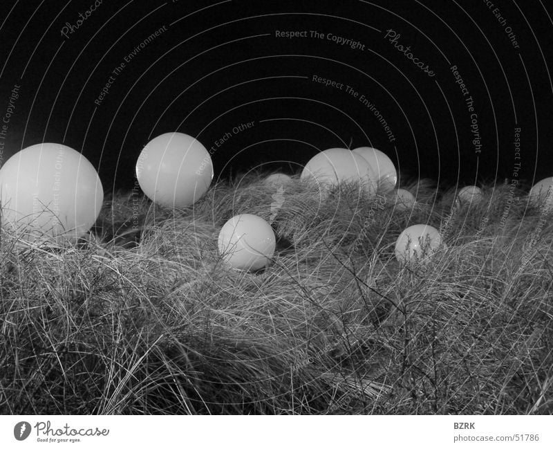 globes in the grass black & white spheres balls Ball Kugel