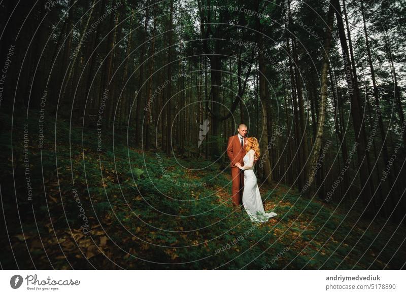 Die Braut und der Bräutigam gehen Hand in Hand durch den Wald. Glückliche Braut und Bräutigam halten sich an den Händen und gehen im Wald am Hochzeitstag.