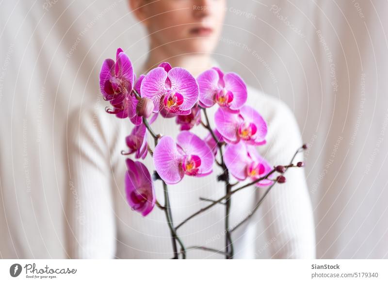 Frau hält rosa Orchidee Mädchen Orchidaceae Hintergrund Blume weiß schön Beteiligung Topf Lippen jung vereinzelt Orchideen Pflanze geblümt Schönheit Natur