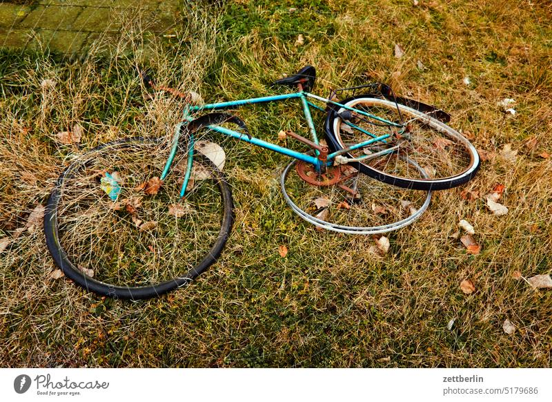 Fahrrad fahrrad kaputt defekt tot schrott weggeworfen fahrzeug verloen demontage demoliert rahmen fahrradrahmen straßenrand gras straßengraben unfall diebstahl
