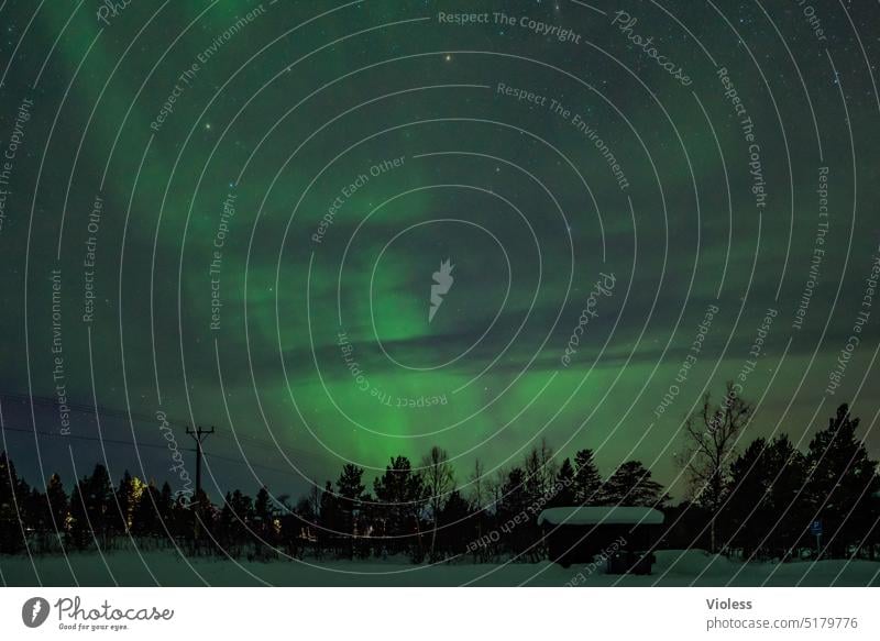 Nachts in schwedisch Lappland II Sterne Nordlicht Schweden Abisko Schnee Tannen Polarlicht Nordlichter Leuchterscheinung Aurora Sonnenwind Frost Kälte dunkel