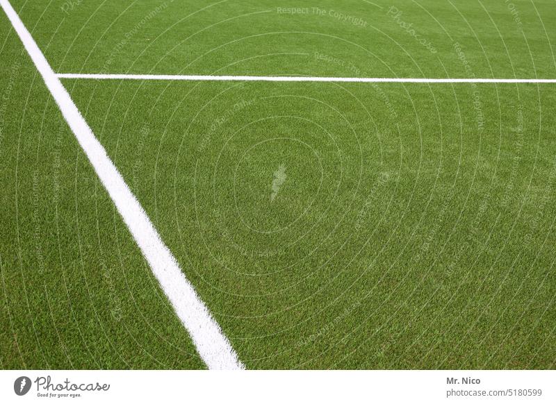 Linien Rasen Markierung Spielfeld Trainingsplatz Kunstrasenplatz Sportrasen grün Freizeit & Hobby Spielfeldmarkierung Bodenbelag Spielfeldbegrenzung