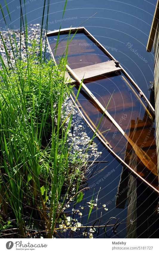 Grüne Auenlandschaft im Sommer im Sonnenschein mit altem versunkenen Holzboot mit Ruder und grünen Gräsern am Wasser im Acarlar Auenwald bei Karasu in der Provinz Sakarya in der Türkei