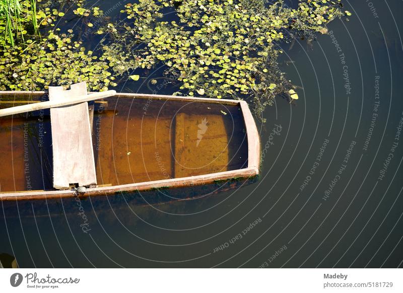 Historische Auenlandschaft im Sommer im Sonnenschein mit altem undichten braunen Holzboot und grünen Gräsern und Pflanzen am Wasser im Acarlar Auenwald bei Karasu in der Provinz Sakarya in der Türkei