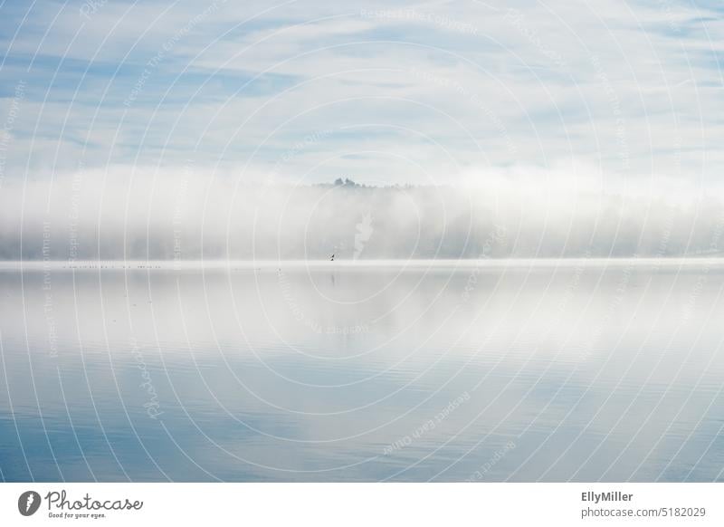 Nebel am See. Idyllischer Morgen. Nebelstimmung Nebelschleier Morgennebel Wasser Wasseroberfläche Natur Idylle idyllisch Landschaft Morgendämmerung Menschenleer