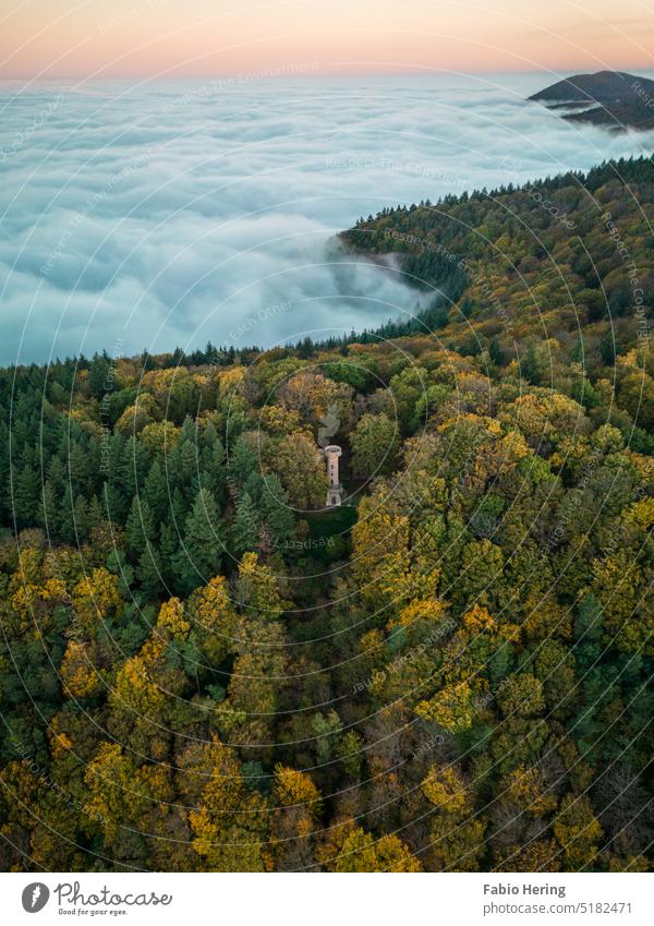 Turm im Wald an Nebelmeer Nebelstimmung Herbst Berge Sonnenaufgang Sonnenstrahlen grün Natur Umwelt Nebelfeld Nebeldecke Drohnenaufnahme