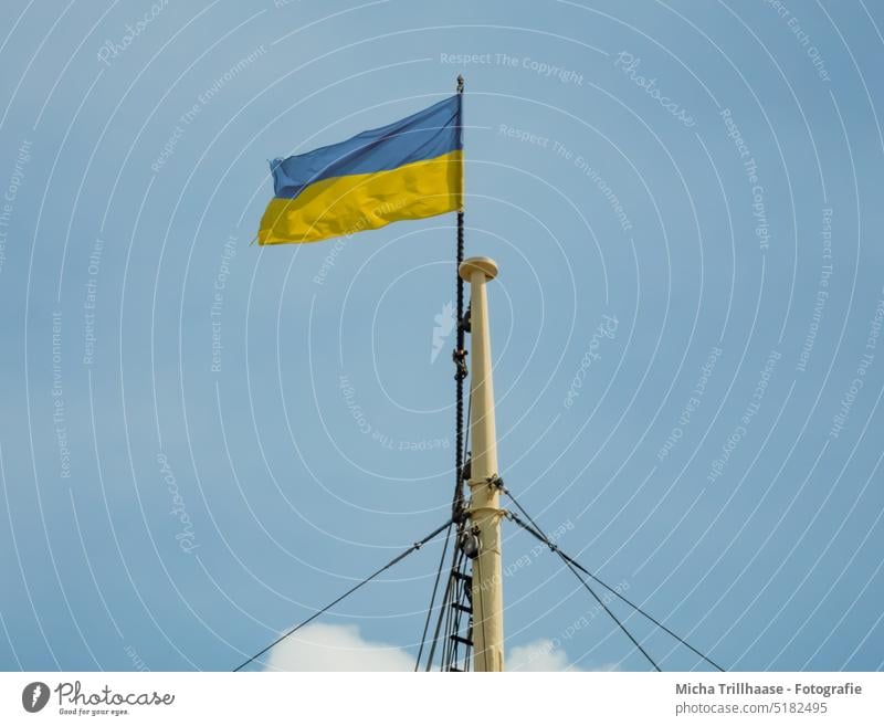 Ukrainische Nationalflagge weht im Wind Ukraine Flagge Fahne Fahnenmast Fahnenstange wehen flattern Himmel Sonne Sonnenschein Ukrainer Symbol Landesflagge