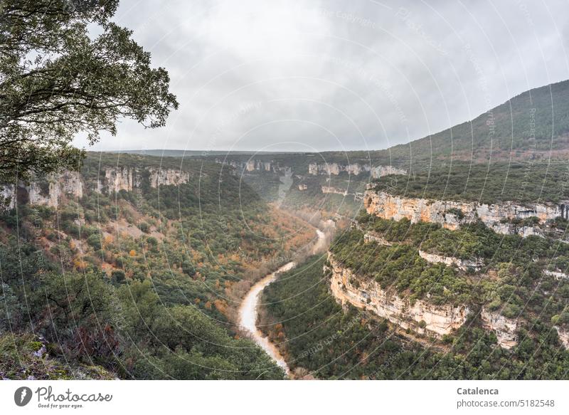 Die Ebro-Schlucht Natur Umwelt Landschaft Himmel Felsen Bäume Wasser Fluß Personen Mensch Kopf schauen Mütze Wandern Tag Tageslicht Grau Grün Braun