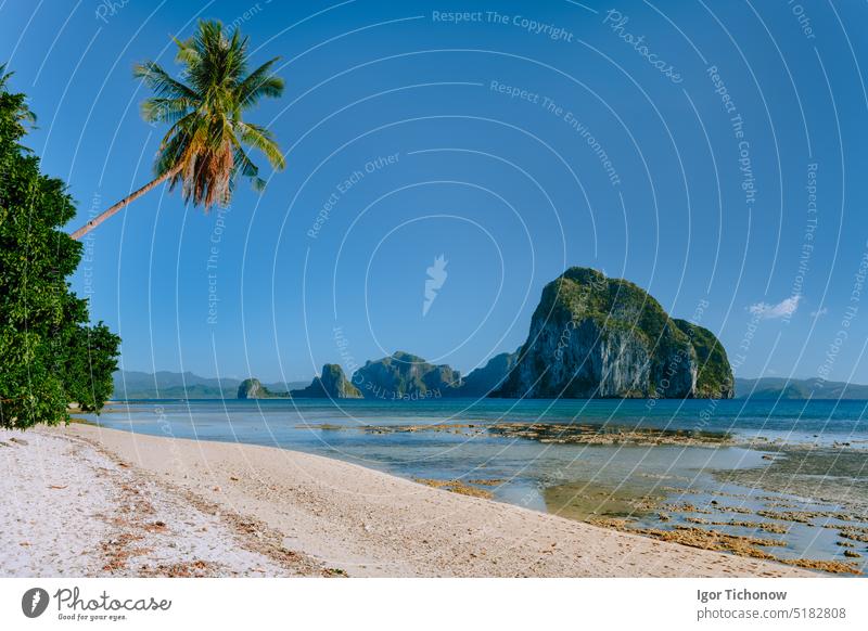 Philippinen natürliche Landschaft Strand bei Ebbe, Palme und erstaunliche Pinagbuyutan Insel im Hintergrund. Exotische Natur Meeresufer in El Nido, Palawan