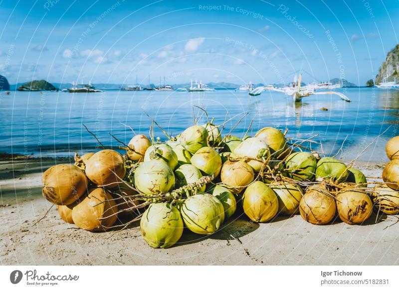 Zweig mit frischen Kokosnussfrüchten am Corong-Strand in El Nido, Palawan, Philippinen palawan Früchte tropisch Natur Insel reisen Sommer Bucht coco Asien