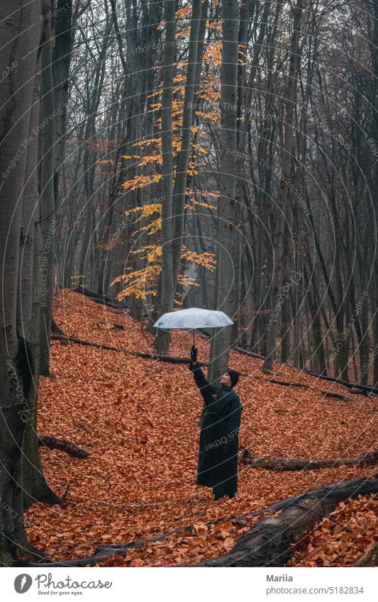 Mädchen auf verlorenem Posten Frau Regenschirm schwarz orange Farbe Bäume Blatt Wetter Herbst wolkig Herbstblatt lost places Kontrast Junge Frau