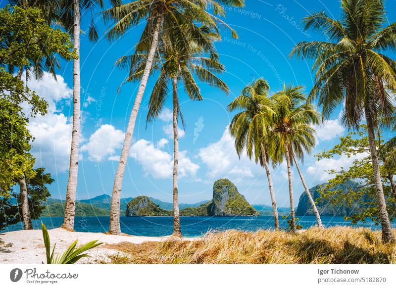Urlaubssaison. Palawan berühmteste touristische Orte. Palmen und einsames Inselhopping-Tourboot am Ipil-Strand des tropischen Pinagbuyutan, Philippinen Natur