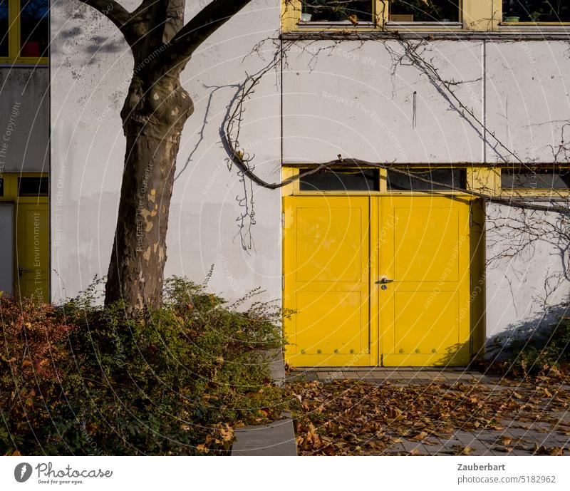 Gelbes Tor in Fassade aus Beton, davor Baum Tür gelb Stadt städtisch Gebäude Wand Haus Bauwerk Eingang sonnig farbig Laub Oberlichter