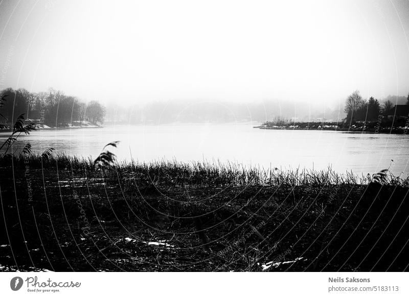 Fluss Lielupe in Lettland im Winter schwarz auf weiß mono Monochrom Kontrast rau dunkel trist Wasser Flussufer Röhricht Gras Nebel dunkle Zeiten sanft