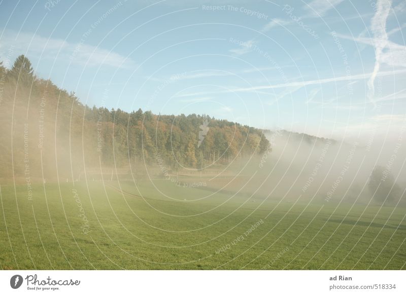 Zeitumstellung | Mein dein Tag Umwelt Natur Landschaft Tier Himmel Wolkenloser Himmel Sonne Herbst Klima Schönes Wetter Nebel Baum Gras Sträucher Wiese Feld